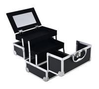 Harilla Estuche de Maquillaje Profesional Caja Organizadora Neceser Maletín Cosmético con Bandejas Múltiples y Espejo Abatible Aleación de Aluminio con Bordes, Style to 5, Array, Negro