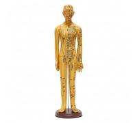 Harilla Maniquí de Modelo Docente Figura Humana Cuerpo Completo Marcado con Meridianos Base Estable Construcción en PVC Adecuado para Capacitación Sesiones, 62 Cm, style to 4