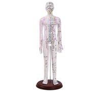 Harilla Maniquí de Modelo Docente Figura Humana Cuerpo Completo Marcado con Meridianos Base Estable Construcción en PVC Adecuado para Capacitación Sesiones, 62 Cm, style to 1