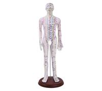 Harilla Maniquí de Modelo Docente Figura Humana Cuerpo Completo Marcado con Meridianos Base Estable Construcción en PVC Adecuado para Capacitación Sesiones, 62 Cm, style to 2