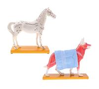 Harilla Paquete de 2 Modelos Acupuntura, Material Didáctico Escolar, Caballo Y Perro