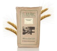 Harina de Centeno Ecológica Blanca | Rica en Fibra y Minerales, Ideal para Pan Centeno con Aroma Tradicional | Alternativa Natural a la Harina de Trigo | Favorece la Digestión | Harina Ecológica 25 Kg