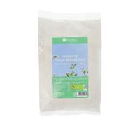 Harina de trigo sarraceno BIO sin gluten | 500 g | Naturitas Essentials | Harina de trigo sarraceno Bio | 100% pura sin gluten | Harinas