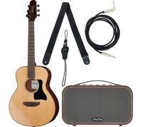 Harley Benton GS-Travel-E Spruce Bundle