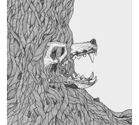 Harm Wülf There's Honey in the Soil So We Wait for the (Vinyl) (Importación USA)