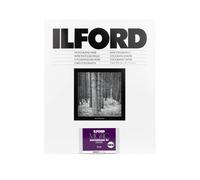 Ilford Multigrade V 44M RC DeLUXE Perla 17,8 X 24 CM 100 Hojas