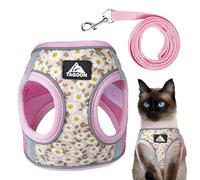 Harness De Gato con Plomo | Correa del Pecho del Arnés De Gato | Arnés De Y Correa | Arnés De Gatito Viaje A Prueba De Escape De Verano Estilo De Chaleco Transpirable con Tira Reflectante