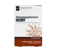 Harpagofito 5 000 mg - Alta concentración de harpagósidos - 1 mes de suplementación intensiva