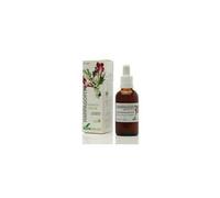 Harpagofito Extracto Glice50Ml Xxi Soria