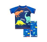 Harry Bear Bañador de Dos Piezas para Niño Dinosaurio Azul 4-5 Años