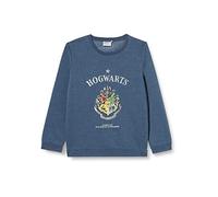 Harry Potter 210024 Sudaderas, Chandal y Sudadera