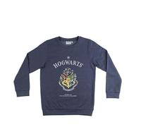 Harry Potter 210035 Sudaderas, Chandal y Sudadera