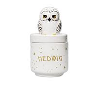 Harry Potter Caja de coleccionista - Hedwig Owl - Kawaii - Tarro de almacenamiento - Caja de baratijas con tapa decoración