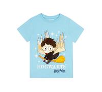 Harry Potter Camiseta Niños | Camiseta del Día del Libro Mundial de Hogwarts | Camisetas de Algodón para Niños | Azul 8-9 años