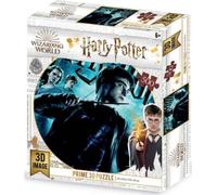 Harry Potter Cartel Grupo Principal 3D Puzzle Tridimensional 500 Pcs