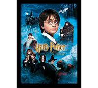 Harry Potter FP10683P-PL - Lámina enmarcada con piedra filosofal, 30 x 40 cm