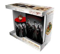 Harry Potter Galvánicas Taza 320ml +Keychain +Notebook Ron Hermione Regalo Set
