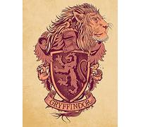 Harry Potter Gryffindor Crest Lienzo de 60 x 80 cm, Multicolor