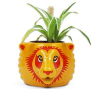 Harry Potter Gryffindor Florero para Plantas Gryffindor Plant Vase Half Moon Bay
