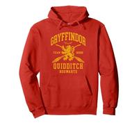 Harry Potter Gryffindor Quidditch Arch Sudadera con Capucha