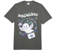 Harry Potter Hedwig Delivering Hogwarts Letter Comfort Colors Adult Heavyweight T-Shirt