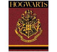 Harry Potter Hogwarts Coperta Rosso Corallo 120x150 cm Warner Bros.