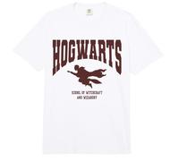 Harry Potter Hogwarts Flying Comfort Colors Adult Heavyweight T-Shirt