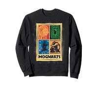 Harry Potter Hogwarts Houses Sudadera