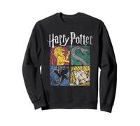 Harry Potter House Squares Sudadera