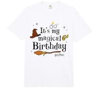 Harry Potter It's My Magical Birthday Comfort Colors Adult Heavyweight T-Shirt