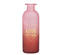 Harry Potter Jarrón de Cristal Potions - 16 cm - Poción de Amor - Botella de pociones de Harry Potter - Decoración de Harry Potter