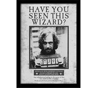 Harry Potter Memorabilia enmarcada, Papel de 250 g/m² MDF, Multicolor, 30 x 40 cm