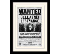 Harry Potter MP10612P-PL Bellatrix Wanted Memorabilia - Impresión artística, 30 x 40 cm