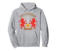 Harry Potter Nuevo diseño 2025 Gryffindor Hogwarts Sudadera con Capucha, Unisex para Adultos, Gris Jaspeado, S