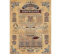Harry Potter Pyramid International - Lienzo Impreso «Quidditch at Hogwarts, Multicolor, 60 x 80 x 1,3 cm