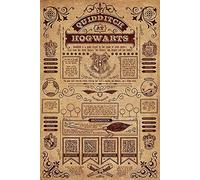 Harry Potter Quidditch at Hogwarts Unisex Póster multicolor Papel 61 x 91,5 cm