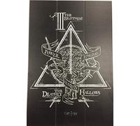HARRY POTTER RD-RS461932 0, Sintético, Multicolor, 20 x 29,5 cm