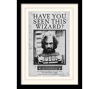 Harry Potter Recuerdos Sirius Wanted, 30 x 40 cm
