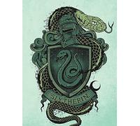 Harry Potter Slytherin 60 x 80 cm Lienzo impresión, Multicolor