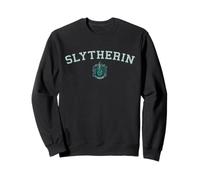 Harry Potter Slytherin ARC Small Crest Sudadera