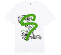 Harry Potter Slytherin Graffiti S Comfort Colors Adult Heavyweight T-Shirt