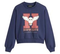 HARRY POTTER Sudadera felpa Harry Potter. Color Azul Marino