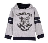 Harry Potter Sudadera para Niña, Sueter Diseño Hogwarts Sudadera Textil Suave, Sudadera con Capucha para Niñas, Regalo para Niñas, Talla 7 Años | Gris