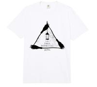 Harry Potter The Three Broomsticks Comfort Colors Adult Heavyweight T-Shirt