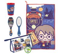 Harry Potter Vanity Case Cerdà