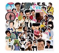 Harry Styles One Direction 1D 100 pegatinas de vinilo para portátiles, teléfonos, fundas de teléfono, consolas, paredes, maletín, libros, botella, 100 pegatinas (1 cada diseño)
