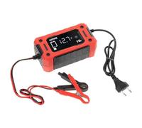 Hart Fishing Cargador Inteligente ISARGY 10A para Uso Profesional para Mantener una conexión Estable y práctica con Detalle técnico 10A