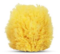 HartFelt Esponja de mar exfoliante de hierba de 4 pulgadas | Esponja exfoliante natural para ducha para mujeres y hombres