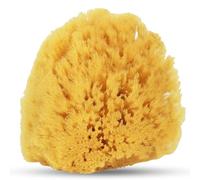 HartFelt Esponja marina amarilla exfoliante suave de 4 pulgadas | Esponjas de ducha naturales para baño para hombres y mujeres | Espuma rica