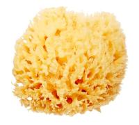 HartFelt Esponja marina de lana delicada para piel de 4 pulgadas, esponjas naturales reales para cuidado suave del cuerpo y la cara, espuma de lujo